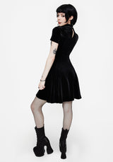 Cameo High Neck Flocked Mesh Insert Skater Mini Dress