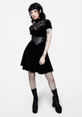 Cameo High Neck Flocked Mesh Insert Skater Mini Dress