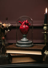 Cordis Heart In Jar