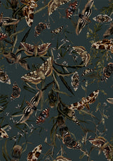 Whispen Moth Print Mini Wrap Dress