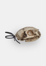 Cat Skull Offering