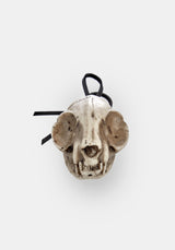 Cat Skull Offering