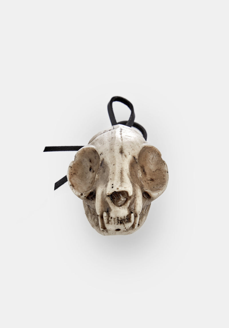 Cat Skull Offering