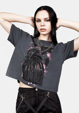 Howling Washed Grey Boxy Crop T-Shirt