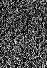 Sharona Fringed Bolero Jacket