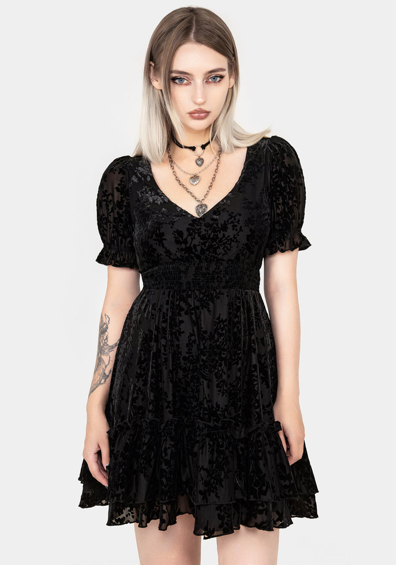 Lilias DevorÃ© Velour Mesh Tiered Mini Dress