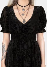 Lilias DevorÃ© Velour Mesh Tiered Mini Dress