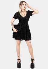 Lilias DevorÃ© Velour Mesh Tiered Mini Dress