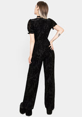 Lilias DevorÃ© Velour Mesh Jumpsuit