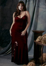 Virosa Floral Embroidered Velour Gown