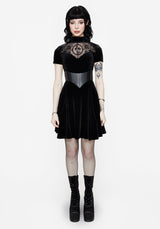 Cameo High Neck Flocked Mesh Insert Skater Mini Dress