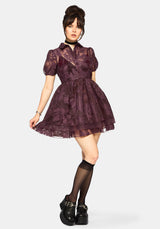 Spectre Layered Mini Shirt Dress - Burgundy
