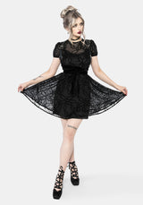 Prickle Thorn Print Mesh Puff Sleeve Mini Dress - Black