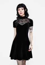 Cameo High Neck Flocked Mesh Insert Skater Mini Dress