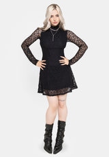 Amoura Boned Waist Corset Lace Mini Dress EU 34