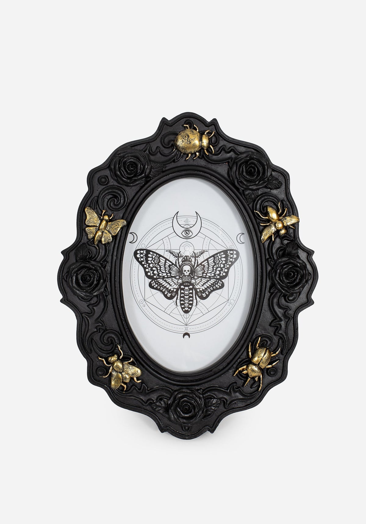 Henbane Bug Photo Frame
