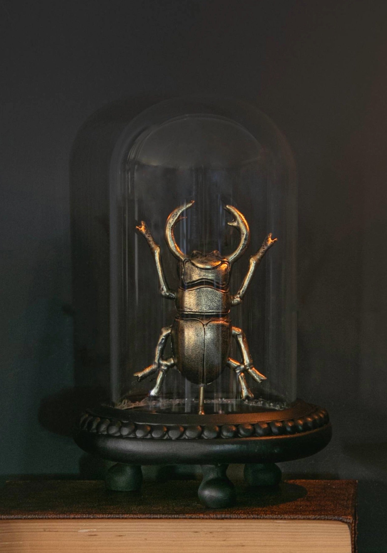 Lyra Bug in Jar