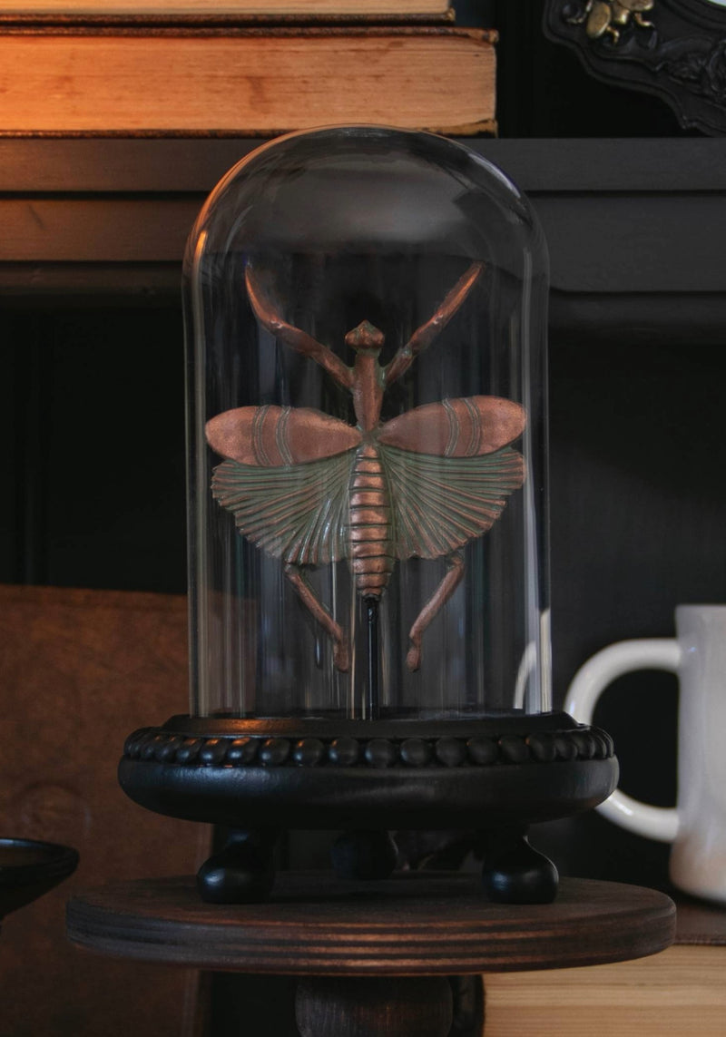 Nerissa Bug In Jar - Bronze & Green