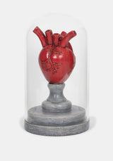 Cordis Heart In Jar