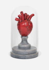 Cordis Heart In Jar