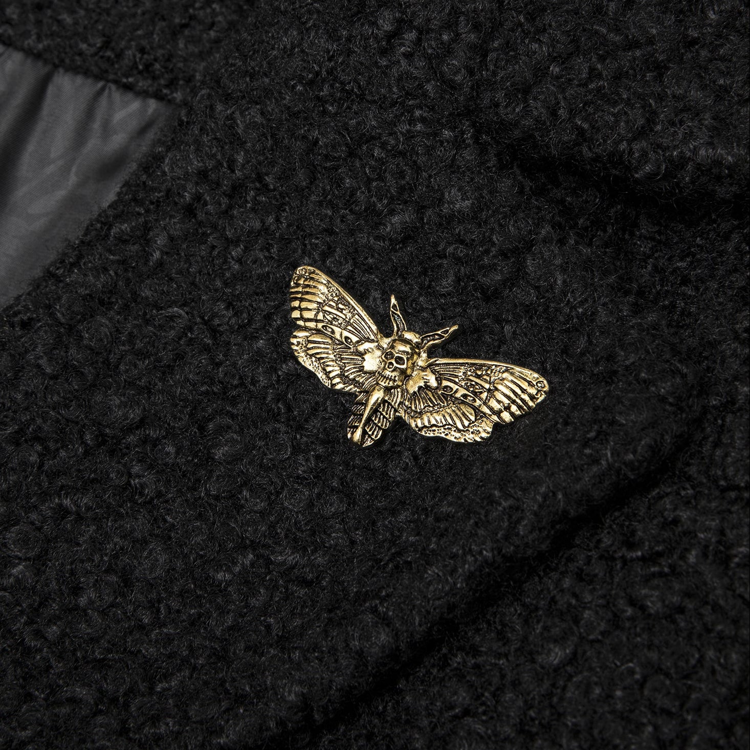 Moth Magic