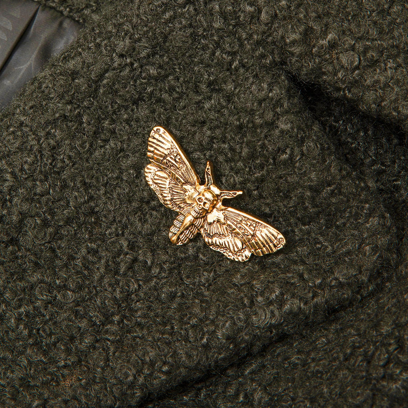 Moth Magic