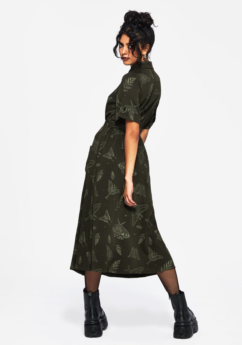 Callopistria Moth Print Midi Shirt Dress - Green