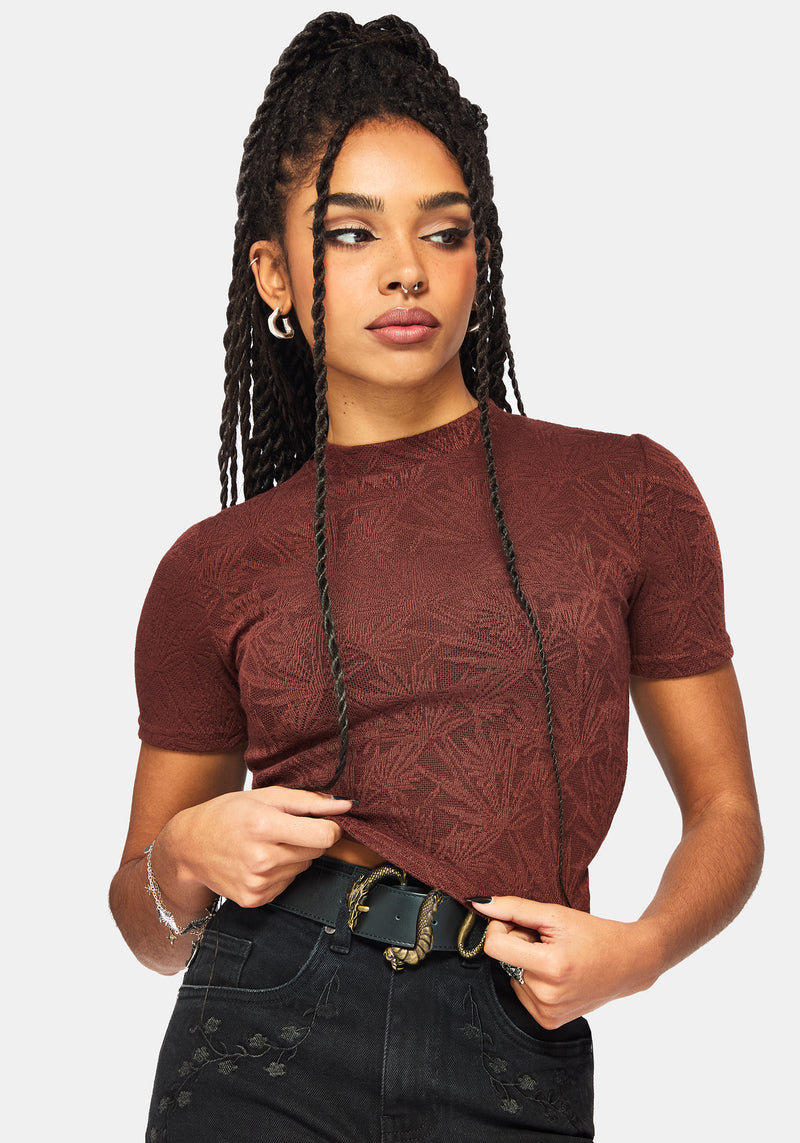 Moiren Brown Knit Short Sleeved Crop Top