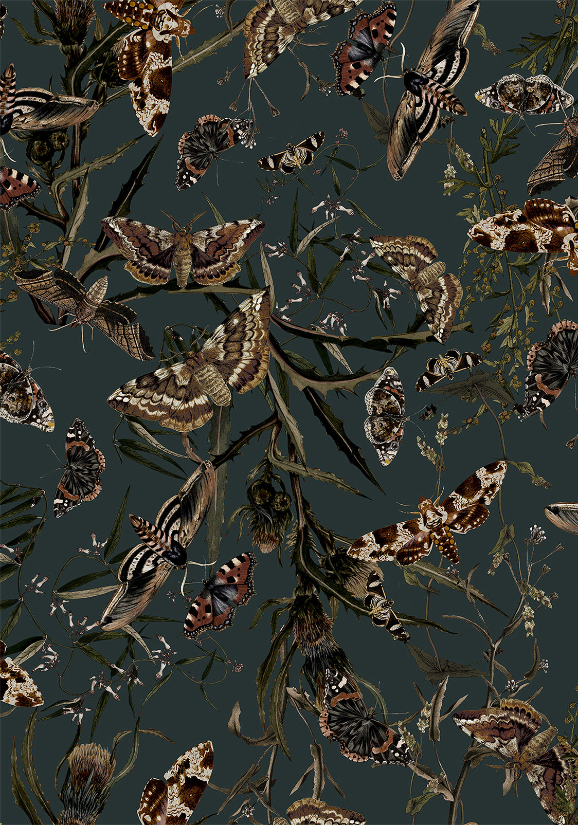 Whispen Moth Print Midi Shirt Dress