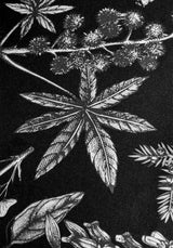 Poisonous Plants Bedding Set (Double)